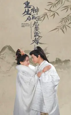 《重生后神医王妃要改嫁》：现代脑科医生穿越复仇，开启别样人生，撩汉升级打怪全不误！